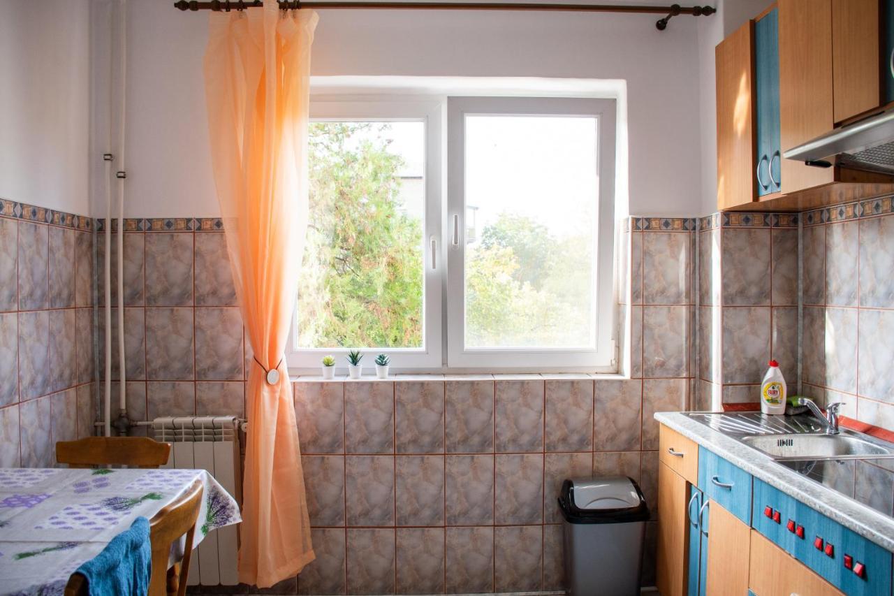 Family-Friendly Apartment Oradea Bagian luar foto
